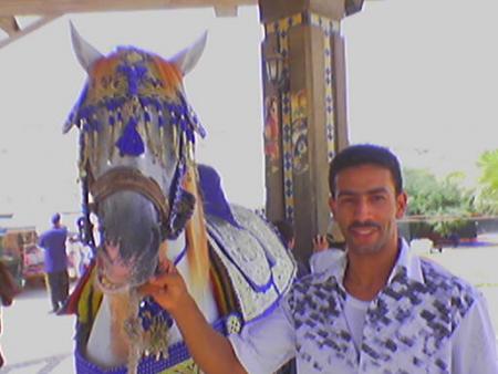 ci mohamed akhi ay khwadri dyali wach fhamtini malik rassik 9assih wafham bali rah khay hada